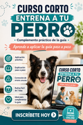 Taller corto: Aprende a entrenar a tu perro sin gritos ni castigos