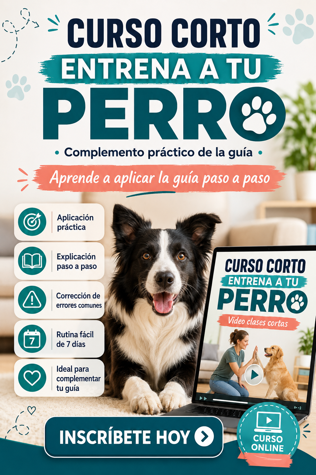 Taller corto: Aprende a entrenar a tu perro sin gritos ni castigos