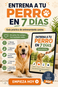 Manual: Entrena a tu Perro en 7 Días